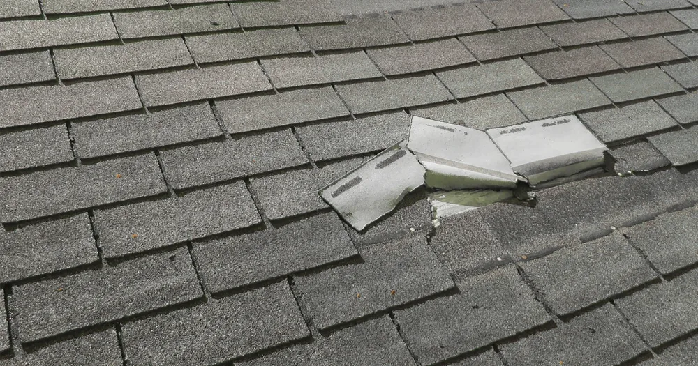 Hail Damage Roof Signs, Repair Costs & Insurance