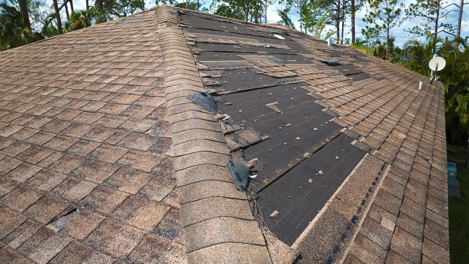 Wind-creased shingle and storm roof repair in Killeen, TX